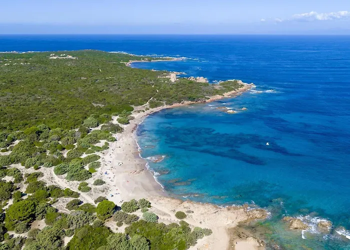 Functional With Shared Pool Aglientu